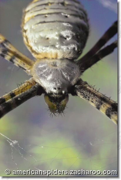 You have reached the last slide