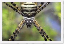 IMG03761 * 2268 x 1512 * (808KB)