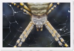 IMG03762 * 2268 x 1512 * (667KB)