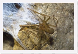 IMG04380 * 2268 x 1512 * (687KB)