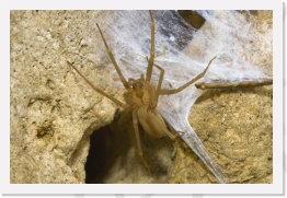 IMG04387 * 2268 x 1512 * (823KB)