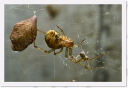 IMG02252 * 2268 x 1512 * (1.53MB)