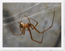 IMG02258 * 1651 x 1266 * (1.32MB)