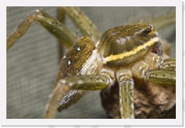 IMG04079 * 2268 x 1512 * (489KB)