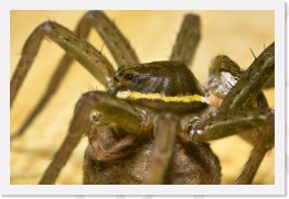 IMG04122 * 2268 x 1512 * (489KB)