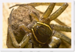 IMG04129 * 2268 x 1512 * (563KB)