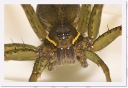 IMG07081 * 2268 x 1512 * (441KB)