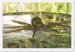 IMG07082 * 2268 x 1512 * (467KB)