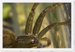 IMG07103 * 2268 x 1512 * (486KB)