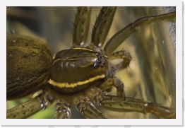 IMG07110 * 2268 x 1512 * (572KB)