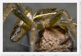 fishing.IMG04117 * 2268 x 1512 * (618KB)