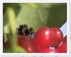 IMG03997 * 1177 x 914 * (558KB)