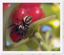 IMG04000 * 1410 x 1171 * (807KB)