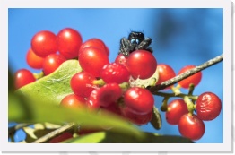 IMG04037 * 1394 x 879 * (614KB)