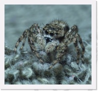 IMG04221 * 1062 x 972 * (689KB)