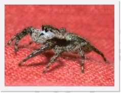 IMG04224 * 1547 x 1151 * (973KB)