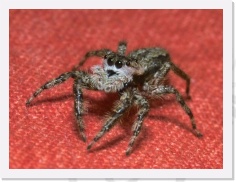 IMG04238 * 1332 x 994 * (863KB)