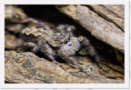 IMG06310 * 2268 x 1512 * (698KB)