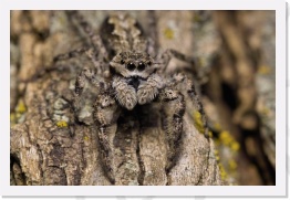 IMG06313 * 2268 x 1512 * (651KB)