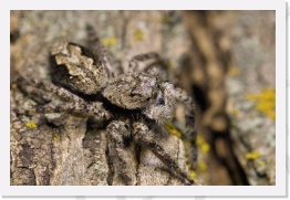 IMG06315 * 2268 x 1512 * (618KB)