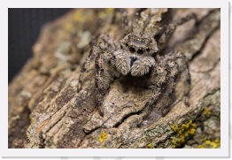 IMG06317 * 2268 x 1512 * (648KB)