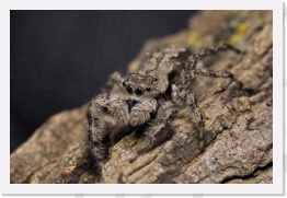 IMG06320 * 2268 x 1512 * (591KB)