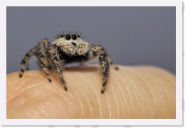 IMG06322 * 2268 x 1512 * (480KB)