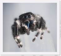 IMG07245 * 1121 x 1025 * (518KB)