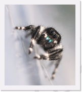 IMG07246 * 1273 x 1452 * (811KB)