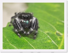 IMG07252 * 1556 x 1175 * (1021KB)