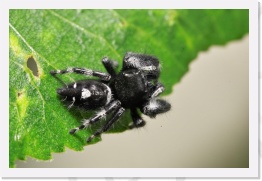 IMG07259 * 2268 x 1512 * (561KB)