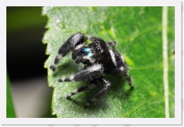 IMG07260 * 2268 x 1512 * (524KB)