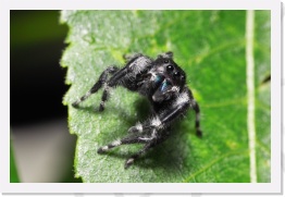 IMG07261 * 2268 x 1512 * (530KB)