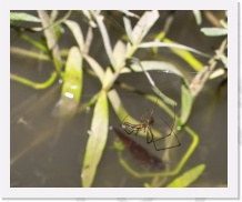 IMG04057 * 1166 x 948 * (555KB)