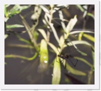 IMG04058 * 1207 x 1064 * (702KB)