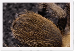 IMG08149 * 2268 x 1512 * (721KB)