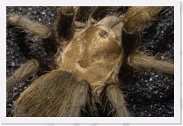 IMG08158 * 2268 x 1512 * (682KB)