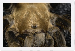 IMG08161 * 2268 x 1512 * (537KB)