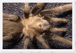 IMG08171 * 2268 x 1512 * (970KB)