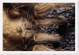 IMG08173 * 2268 x 1512 * (721KB)