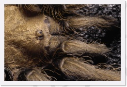 IMG08175 * 2268 x 1512 * (751KB)