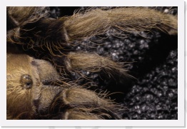 IMG08177 * 2268 x 1512 * (663KB)