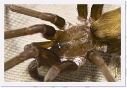 IMG05638 * 2268 x 1512 * (559KB)