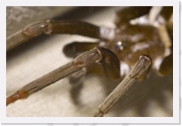 IMG05641 * 2268 x 1512 * (381KB)