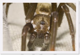 IMG05648 * 2268 x 1512 * (406KB)