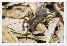 IMG03465 * 2268 x 1512 * (640KB)