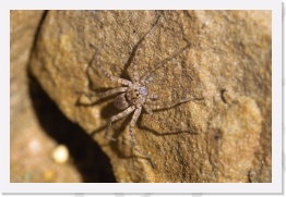 IMG07429 * 2268 x 1512 * (548KB)