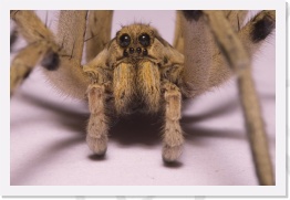 IMG07814 * 2268 x 1512 * (465KB)