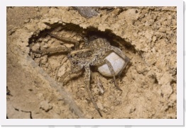 IMG08490 * 2268 x 1512 * (765KB)