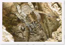 IMG08506 * 2268 x 1512 * (644KB)